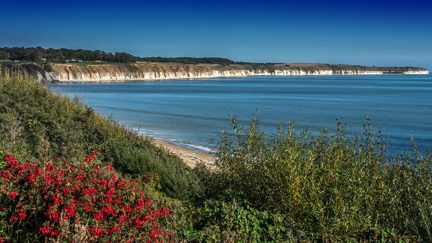Bridlington Tourist Information Centre Image 4