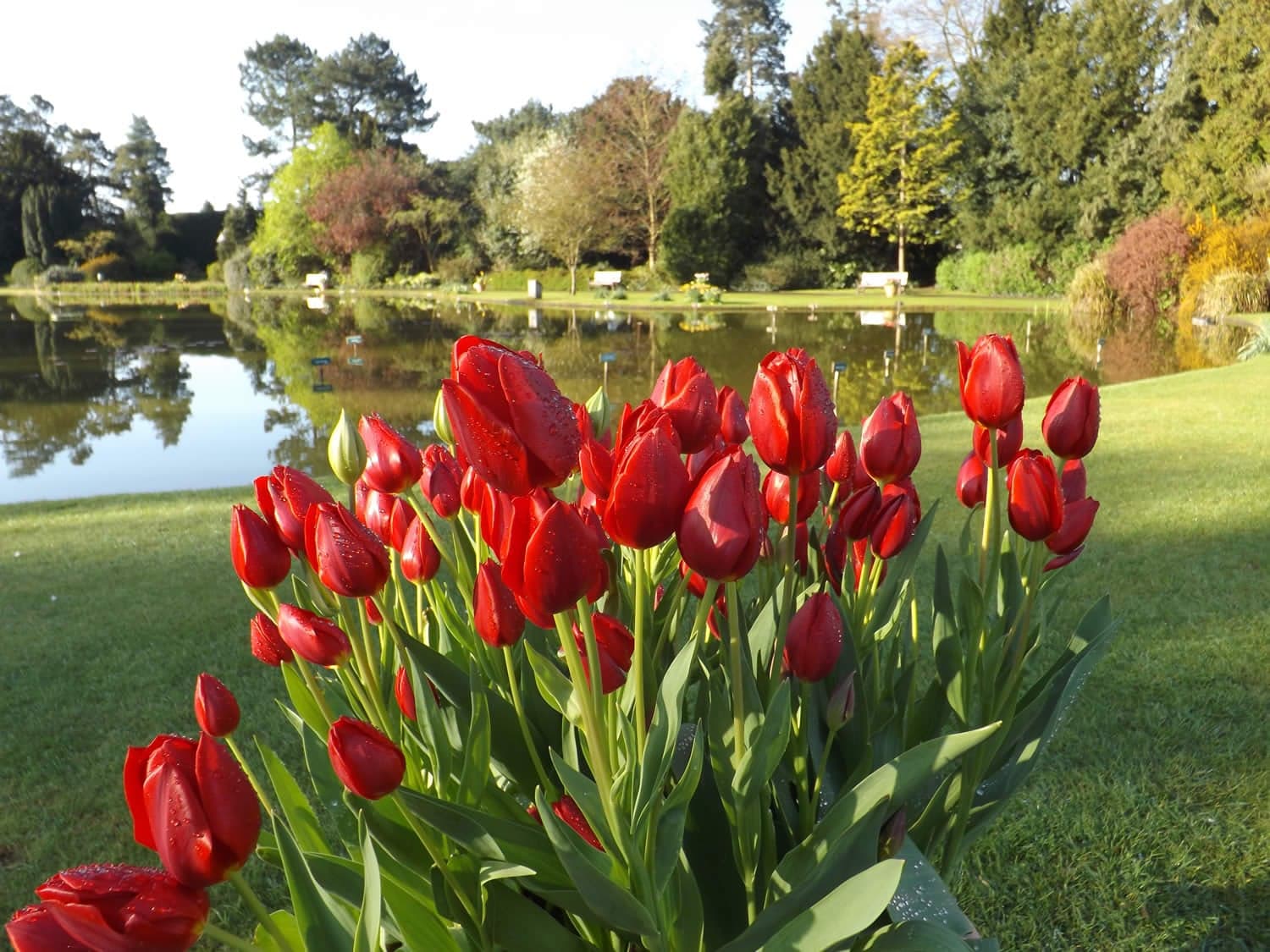 Burnby Hall Gardens and Museum Image 4