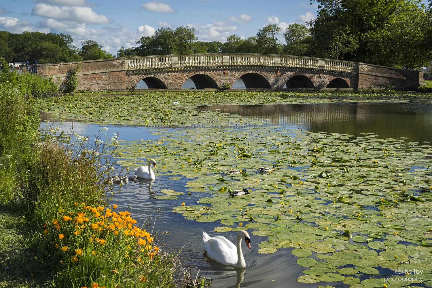 Burton Constable Hall & Parkland Image 8