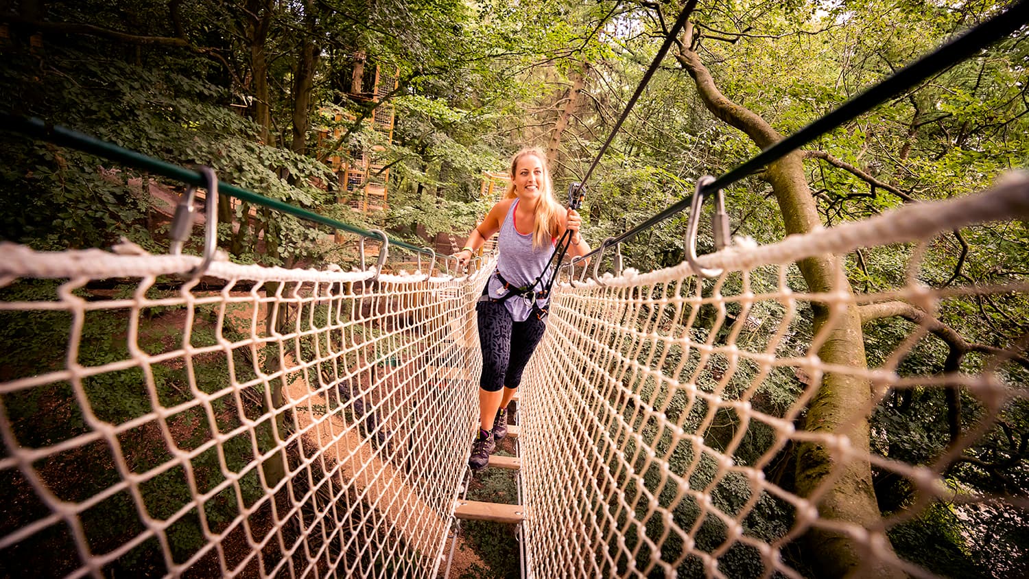 Go Ape Temple Newsam Image 8