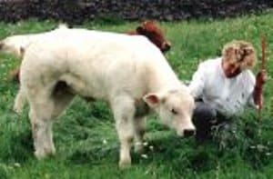 Home Farm Image 5