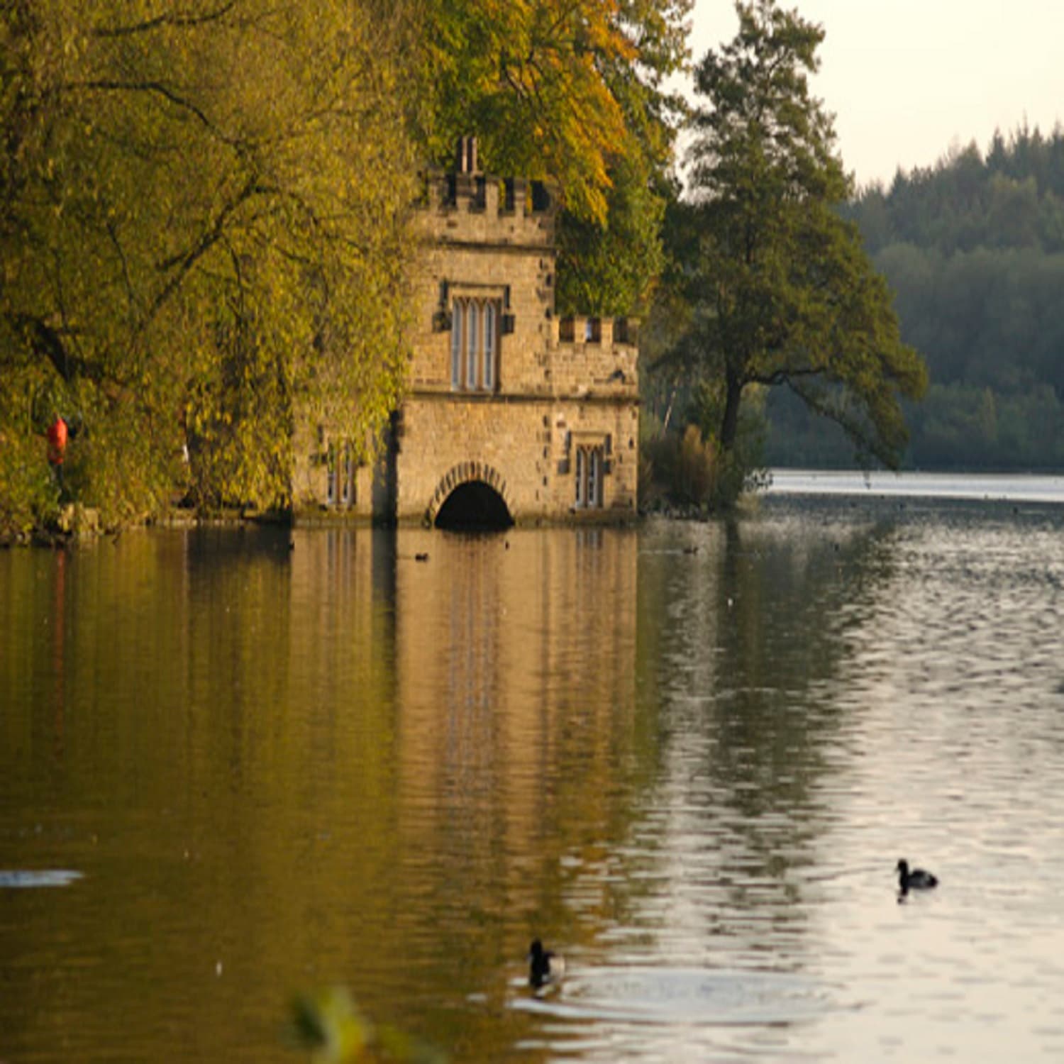 Newmillerdam Country Park & Boathouse Image 2