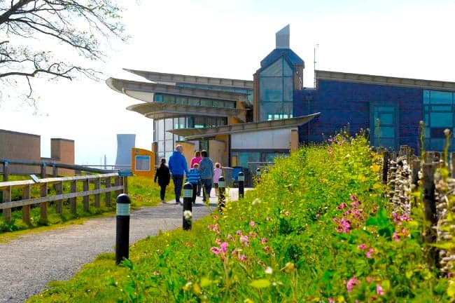 Visit RSPB Saltholme Nature Reserve Image 4