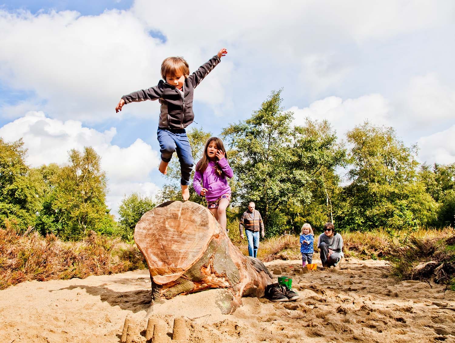Sutton Bank National Park Centre Image 1