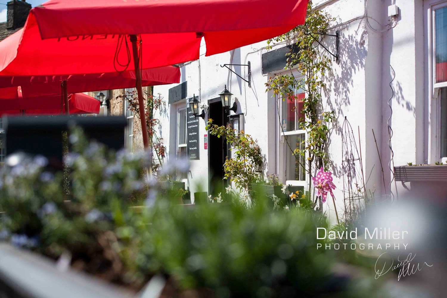 The White Swan Inn Image 8