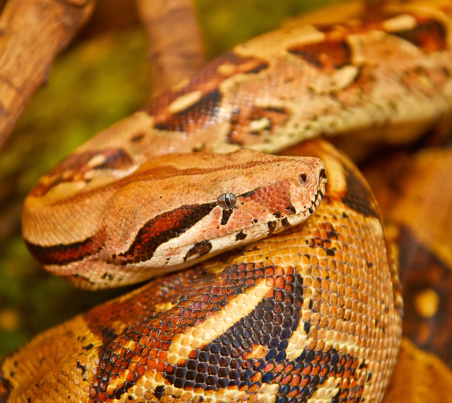 Tropical World at Roundhay Park Image 4