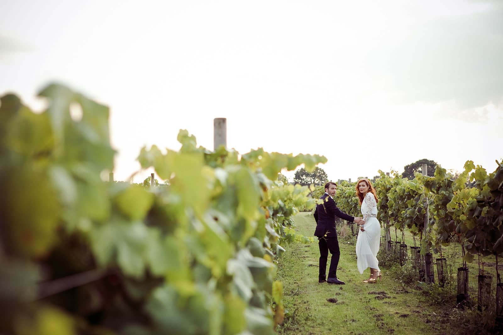Yorkshire Heart Vineyard Image 2