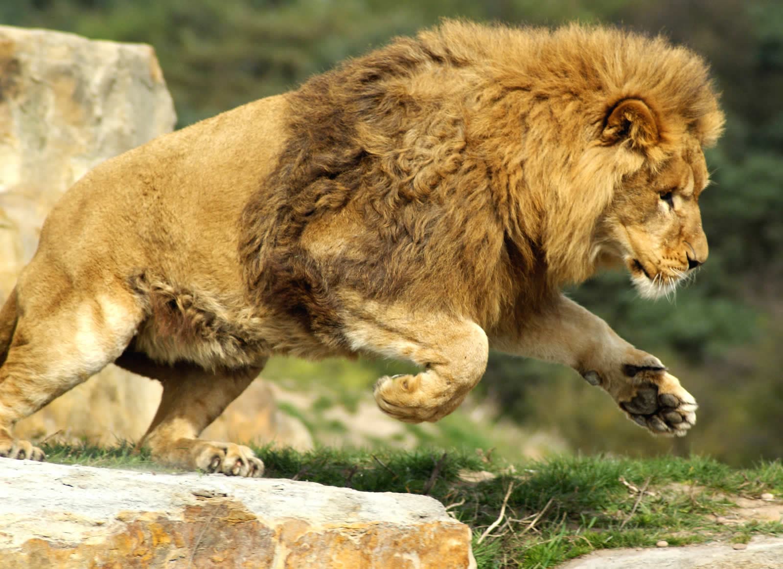Visit Yorkshire Wildlife Park In Doncaster Image 7