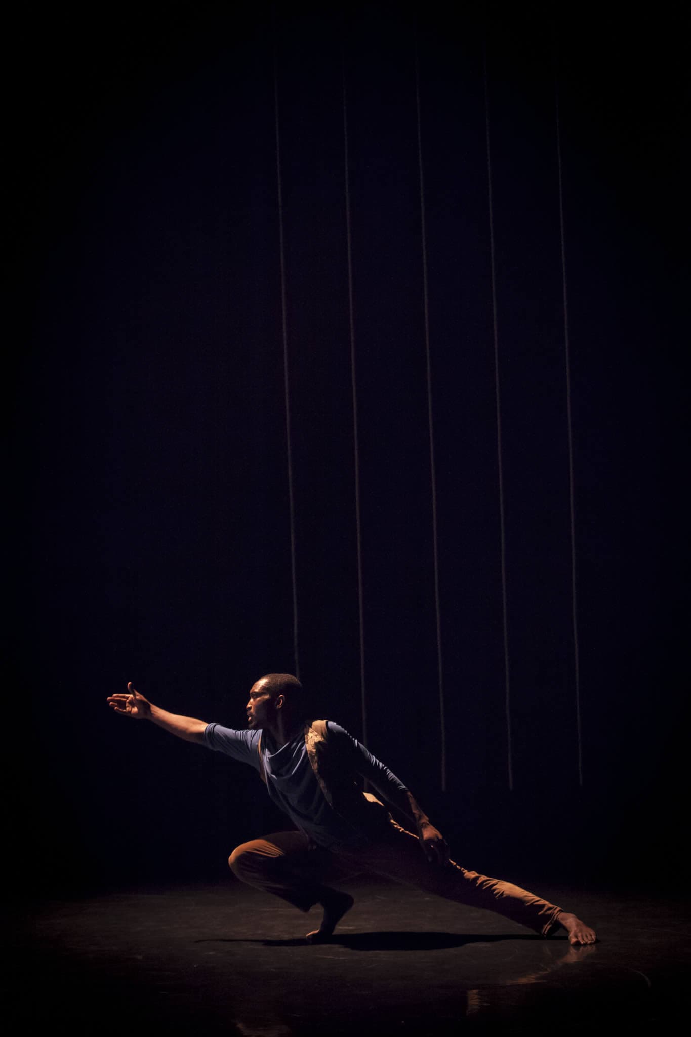 Phoenix Dance Theatre Image 6