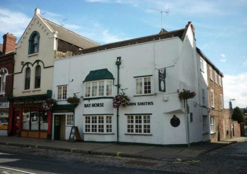 Bay Horse Image 3