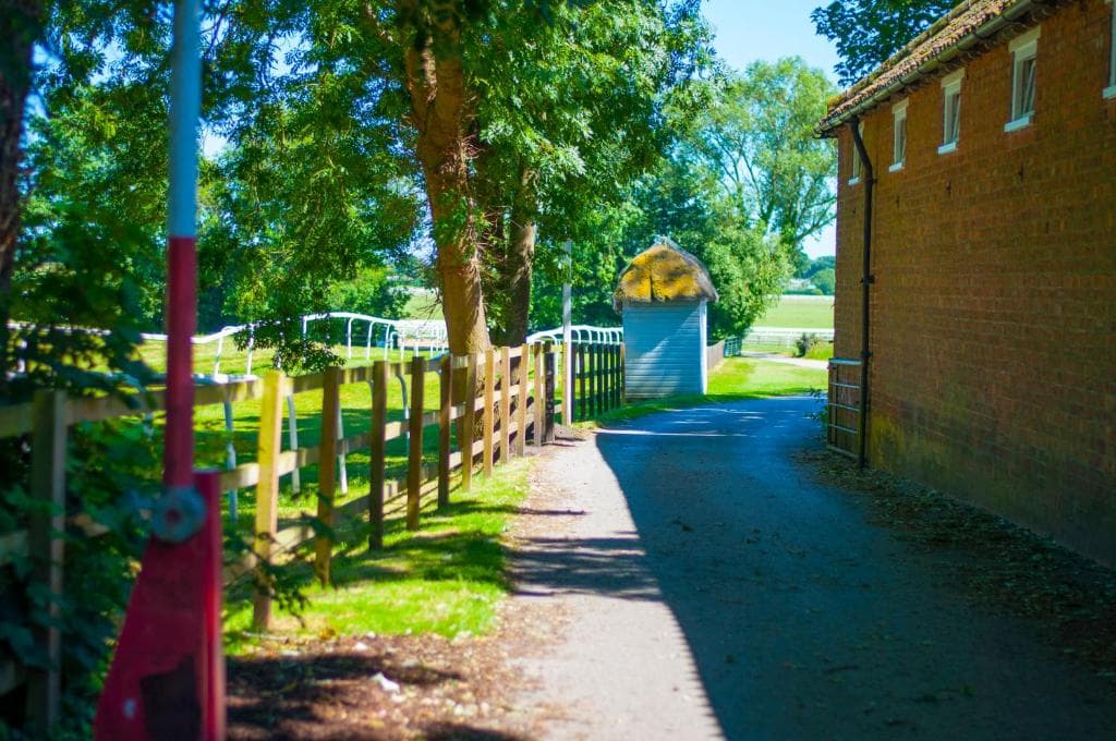 Stableside at York Racecourse Image 1