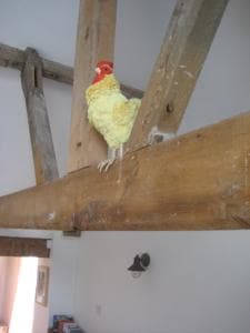 The Old Dairy, Heritage Escapes, Field House Farm Image 1