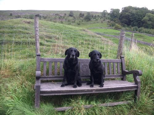 Fox and hounds starbotton Image 1