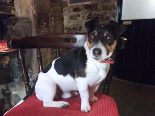 The George Inn Image 1
