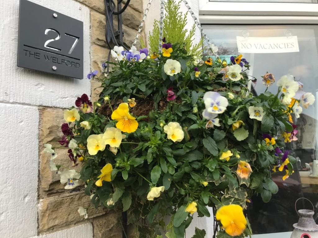The Welford Image 1