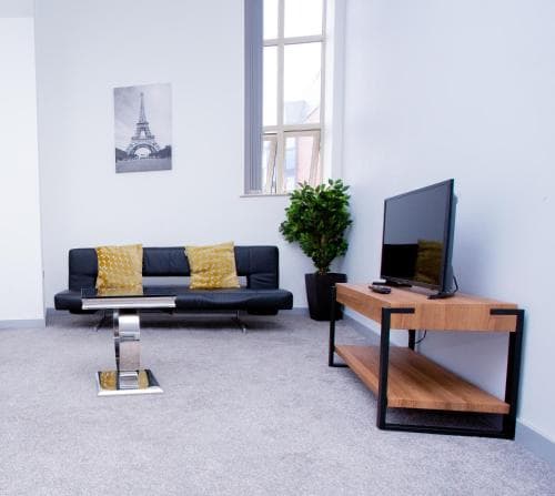 Spacious Urban City Apartment Image 1