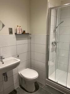 Luxury 2 Bed Duplex City Apartment Image 2
