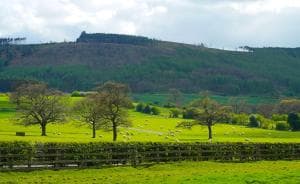 Gisborough Hall Hotel Image 3