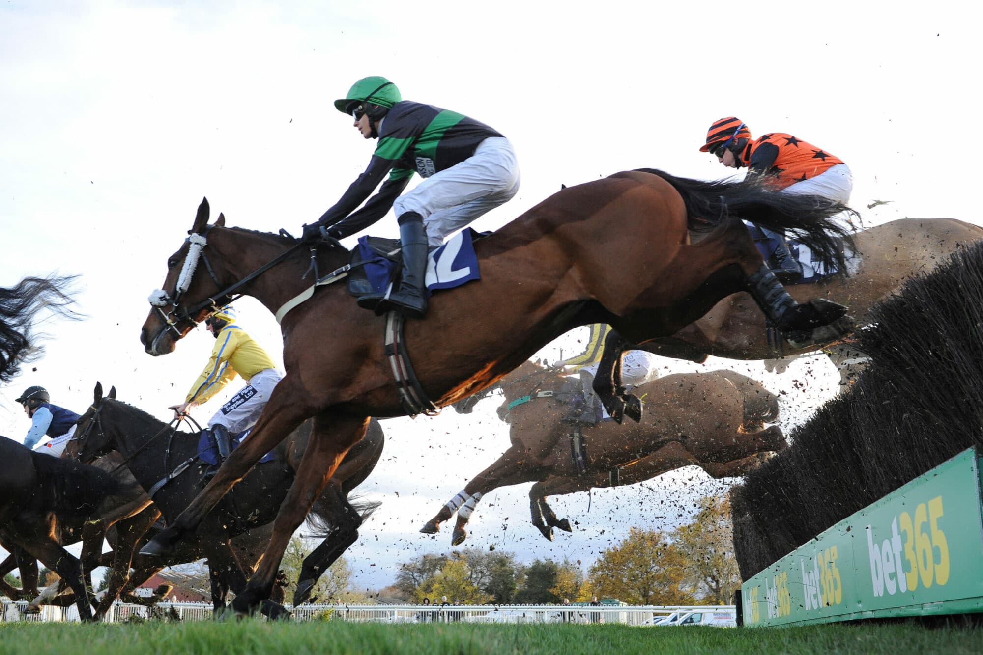 Wetherby Racecourse Image 11