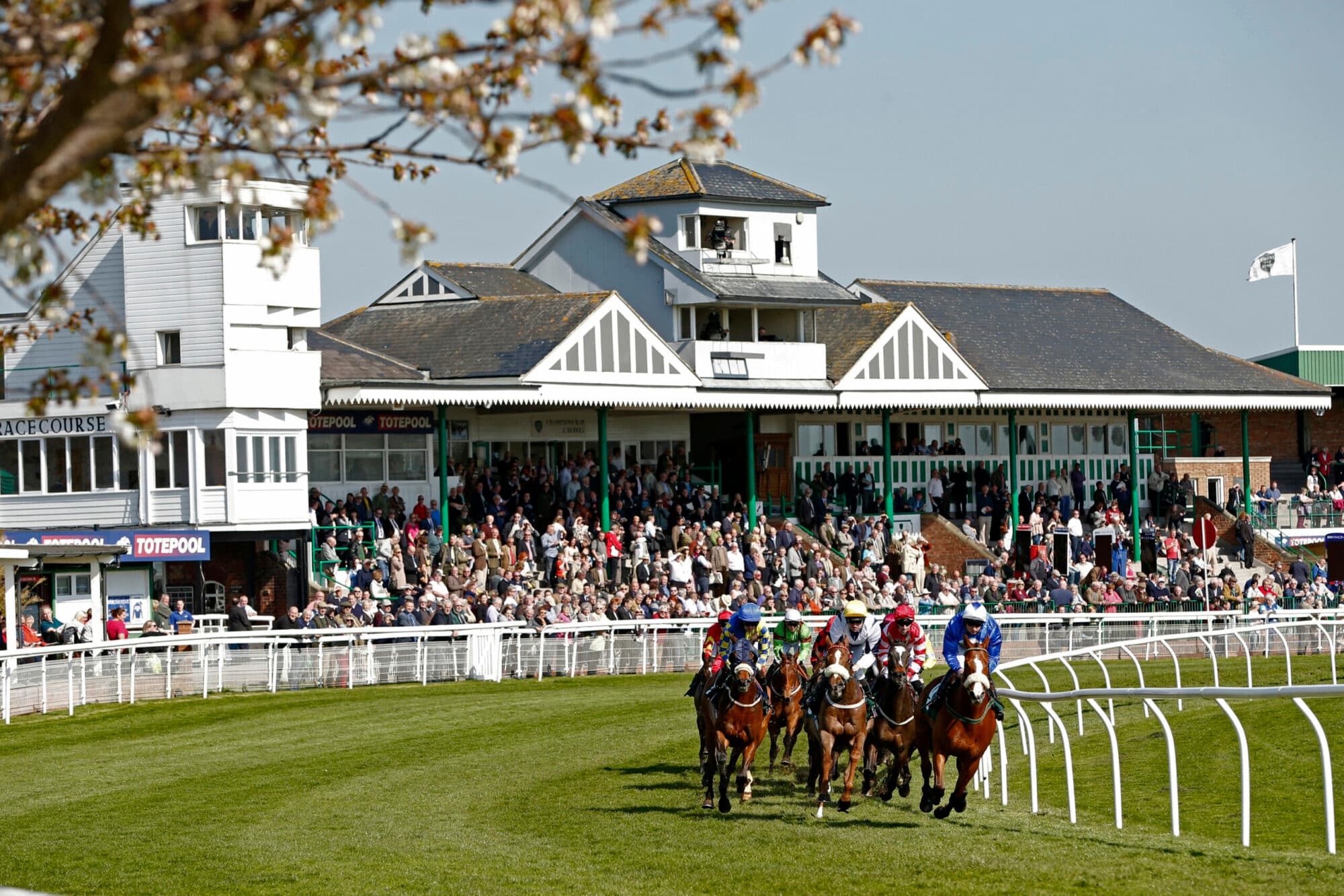 Catterick Racecourse Image 4