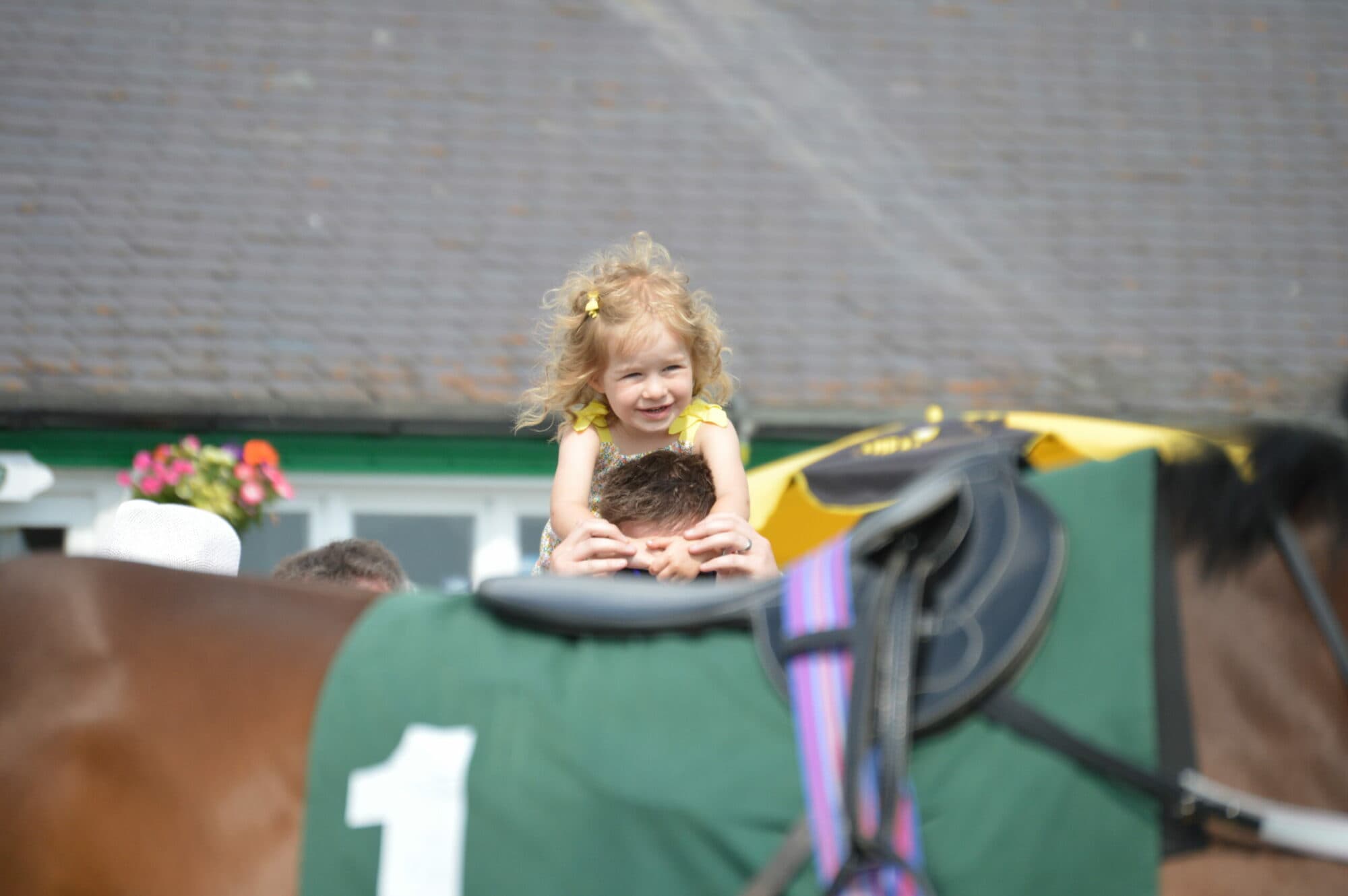 Catterick Racecourse Image 3