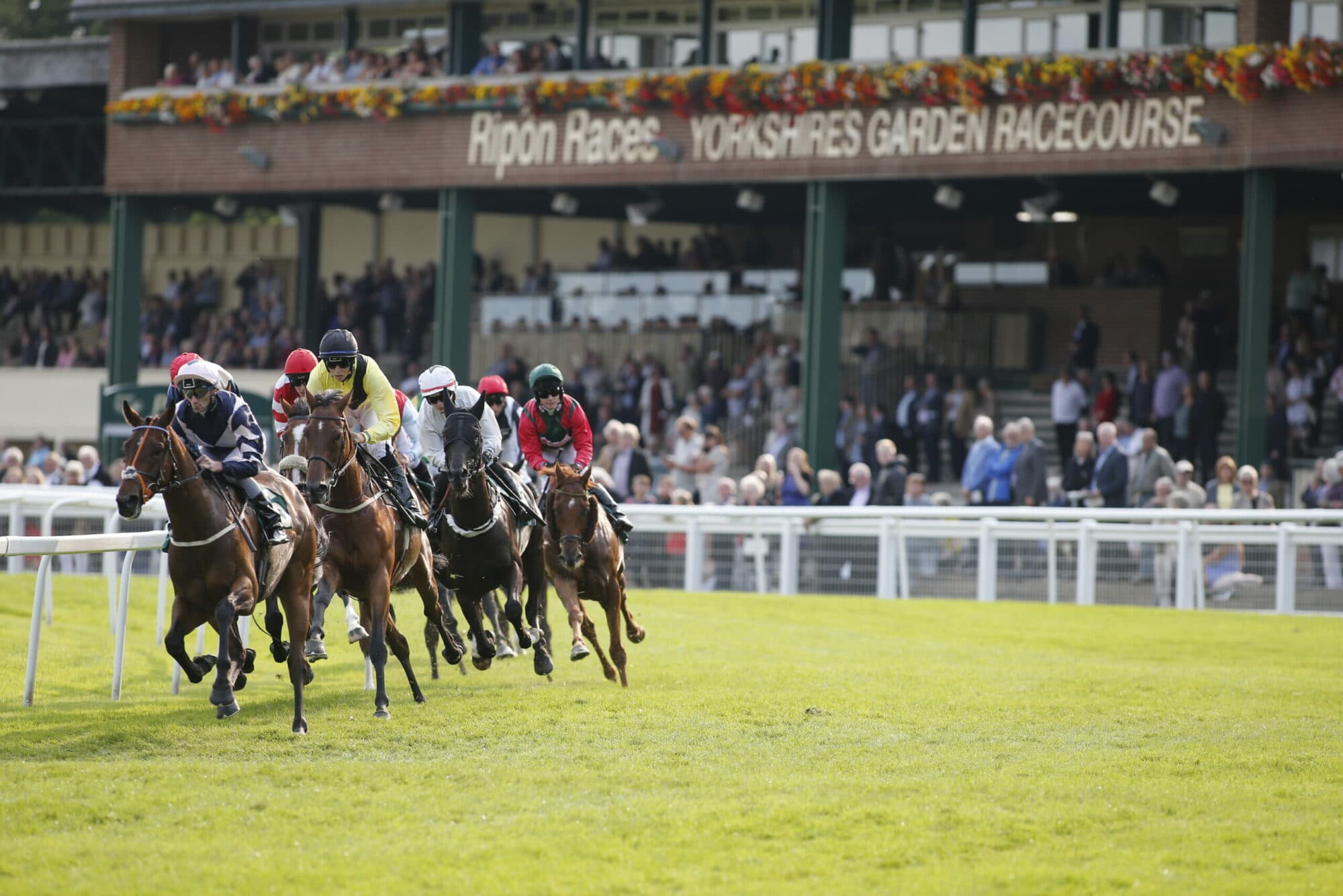 Go Racing In Yorkshire Summer Festival Partners with Yorkshire Air Ambulance
