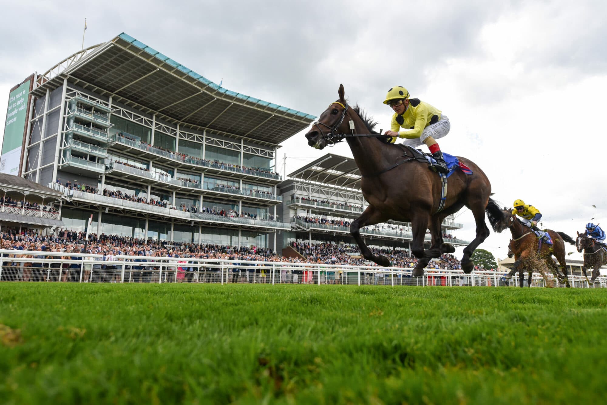 York Racecourse Image 6