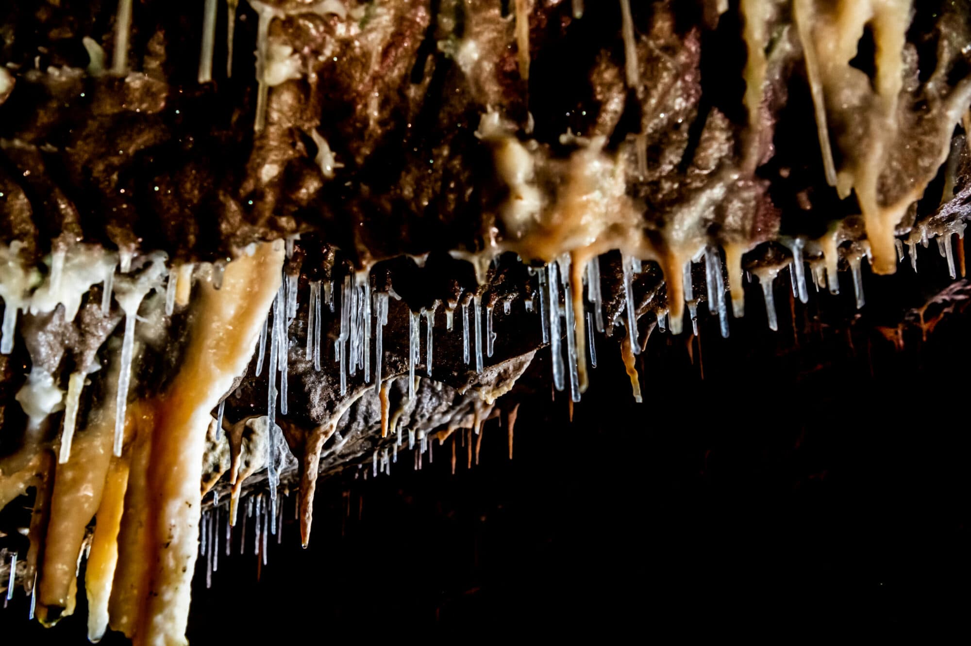Stump Cross Caverns