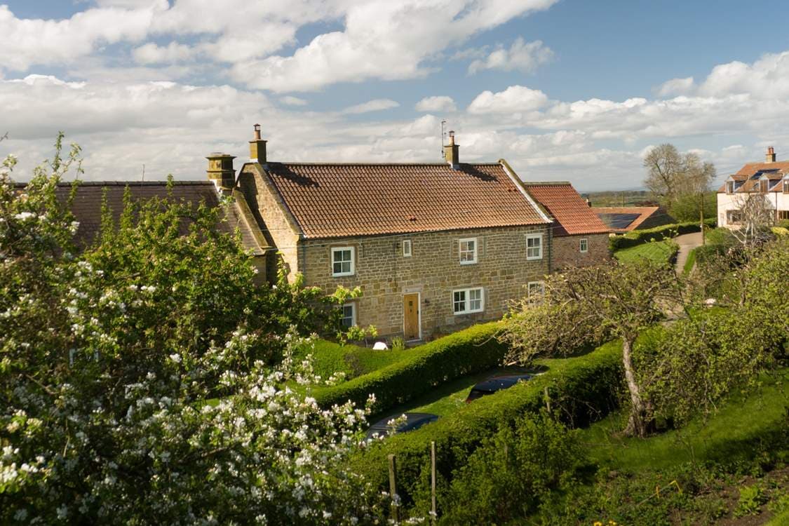 Ivy House Image 1