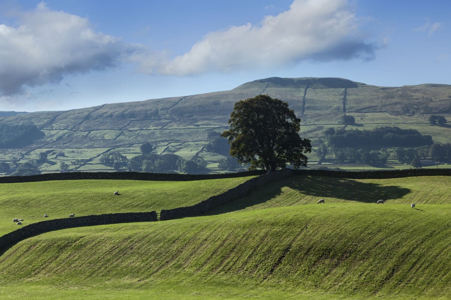 Burtersett