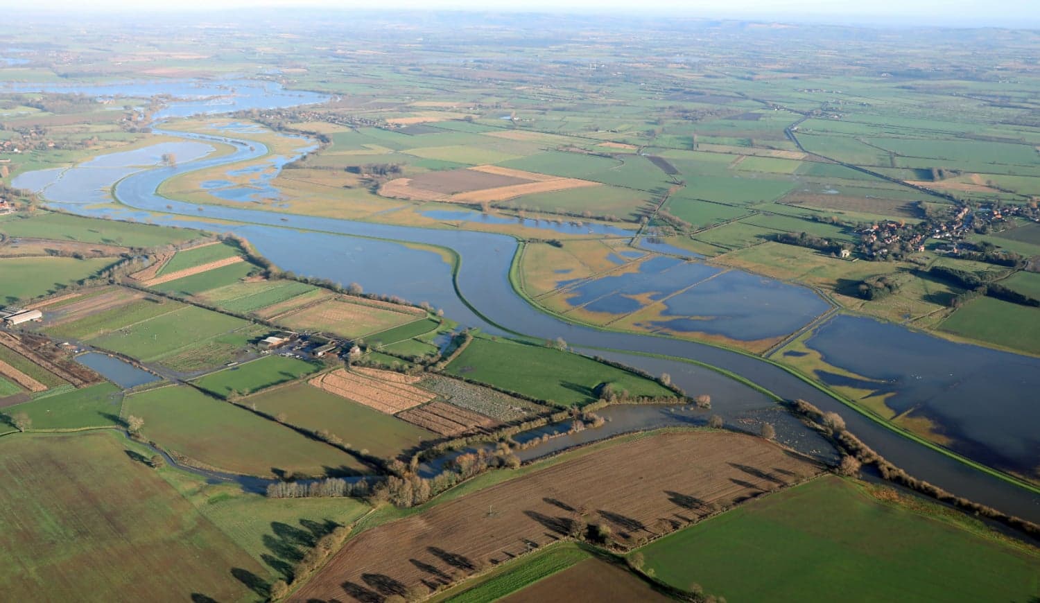 Ellerton