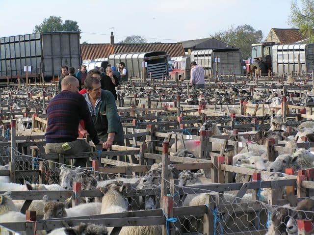 Fadmoor