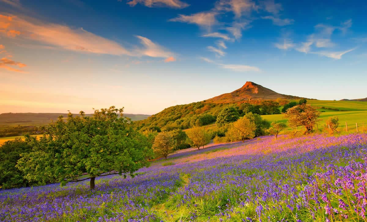 Stokesley