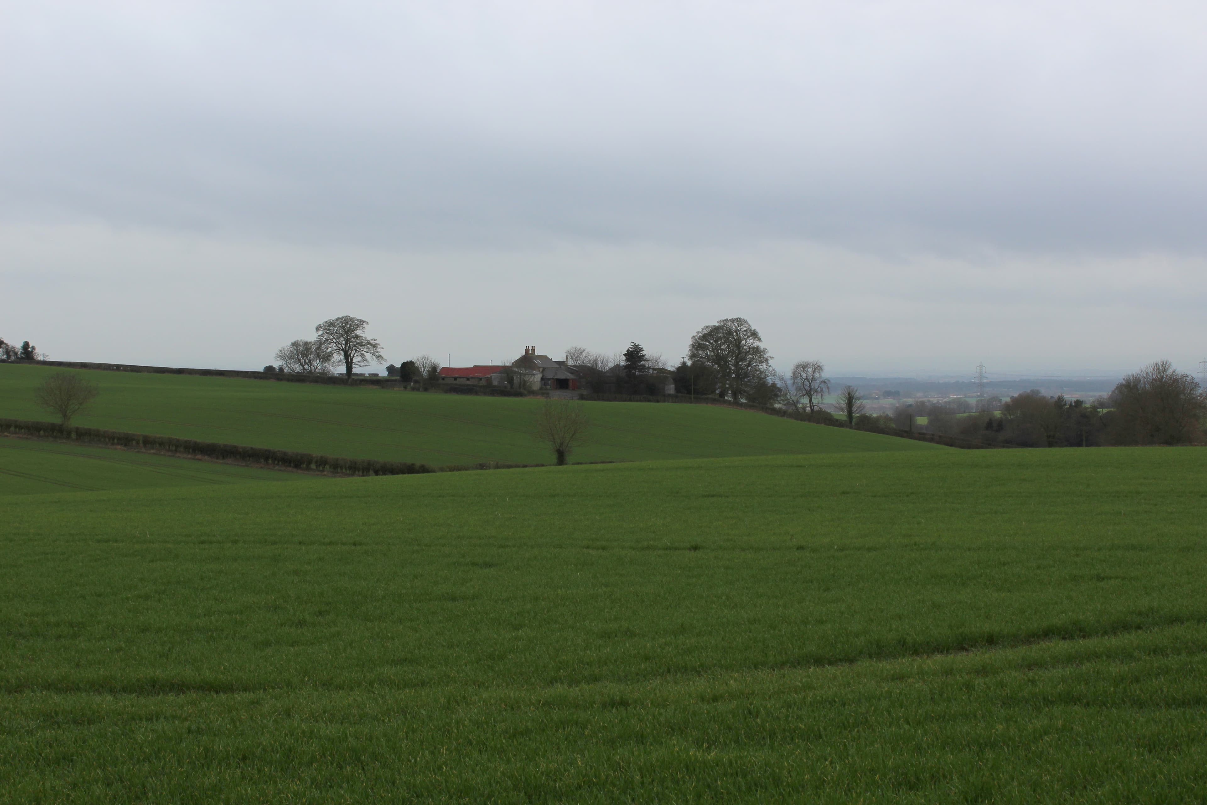 Thornton-on-the-Hill
