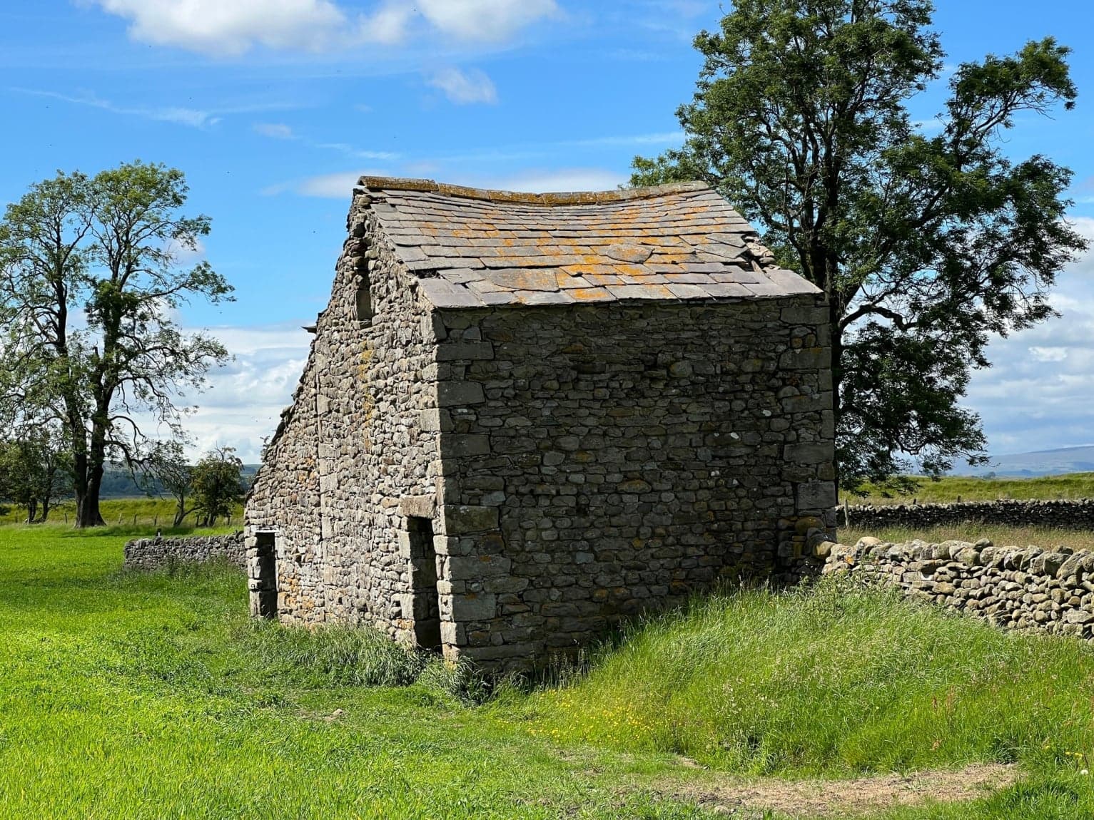 Wigglesworth