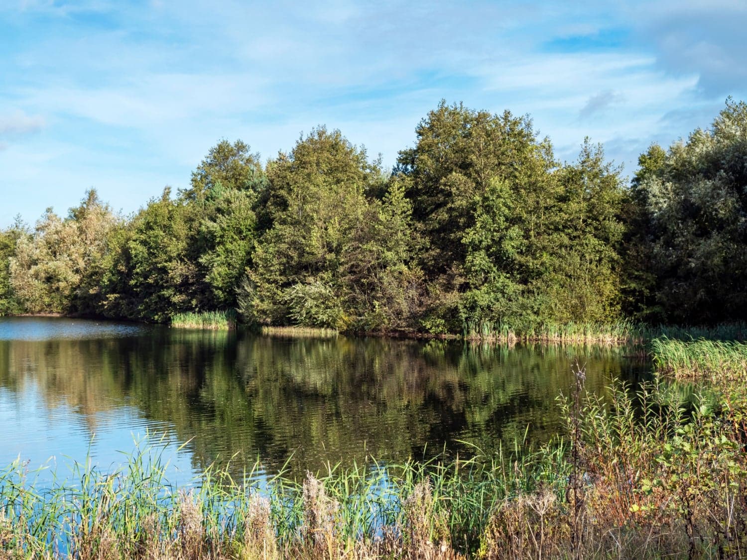 Walk: North Cave Wetlands