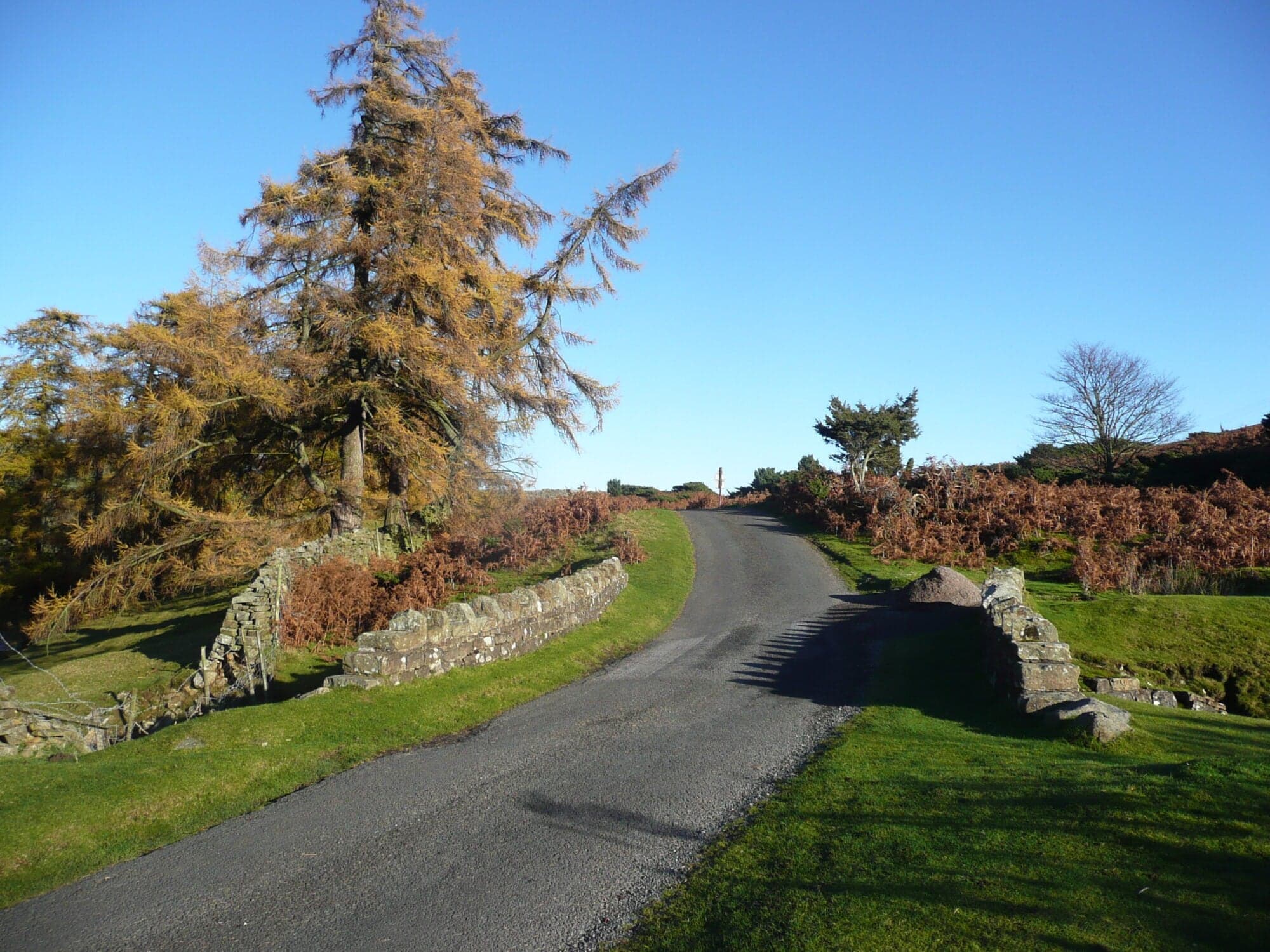 Walk: Walk along the River Swale