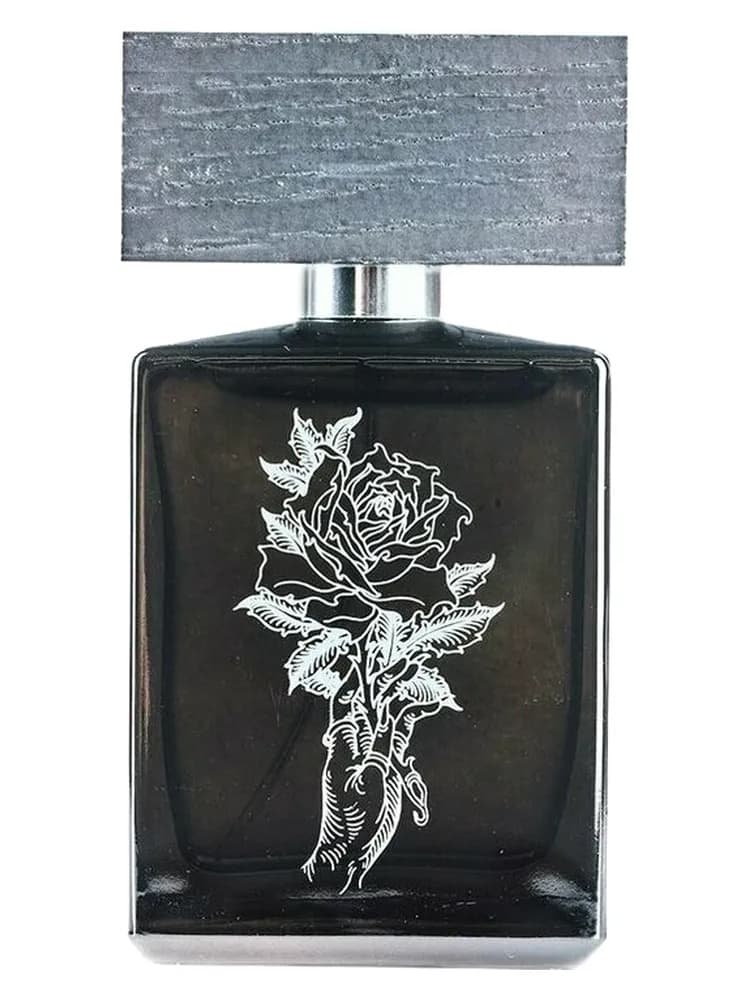 Acrasia unisex