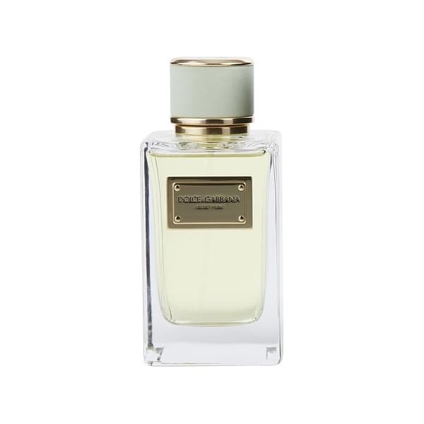 Dolce & Gabbana Velvet Pure