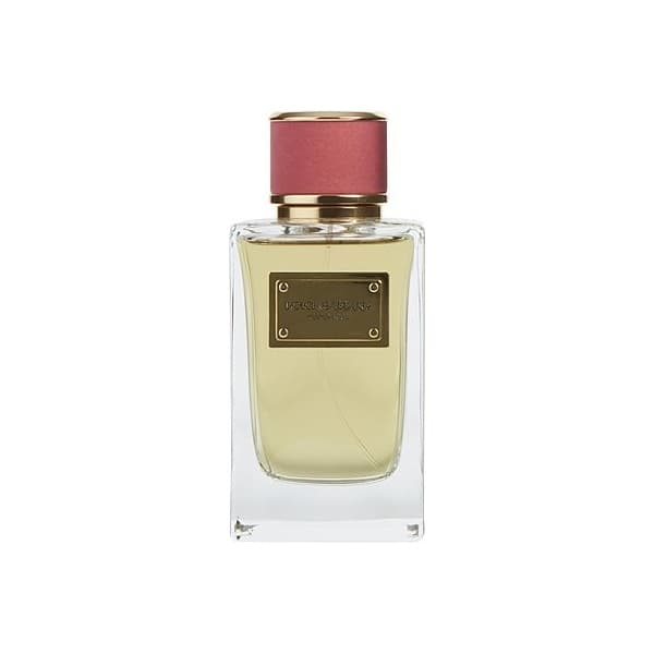 Dolce & Gabbana Velvet Rose