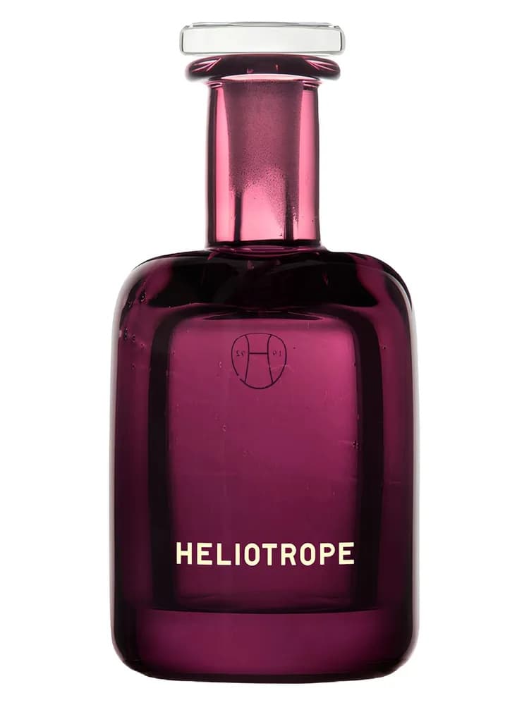 Heliotrope unisex
