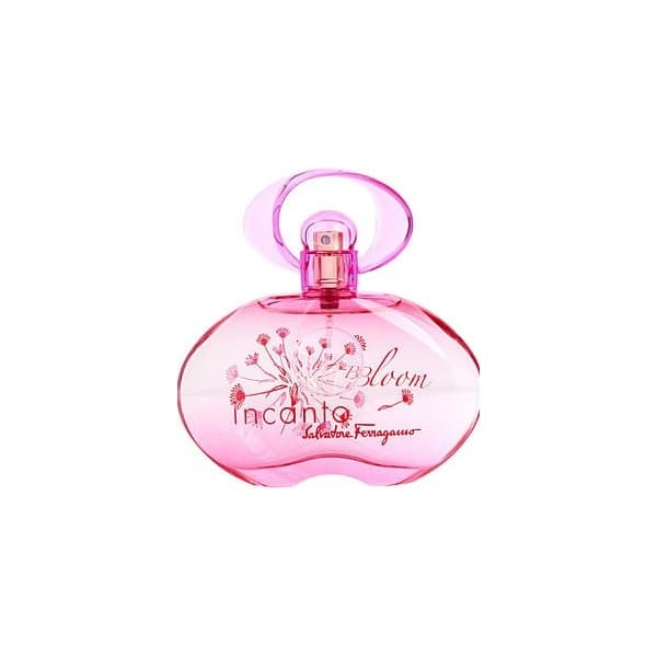 Incanto Bloom