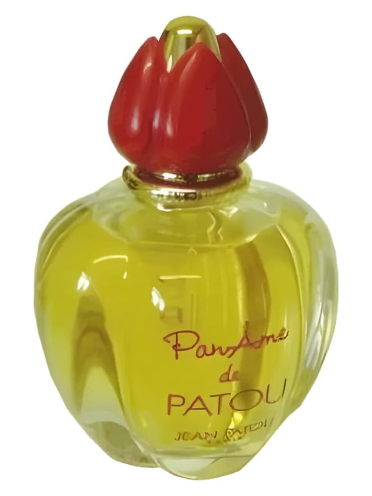 PanAme for women