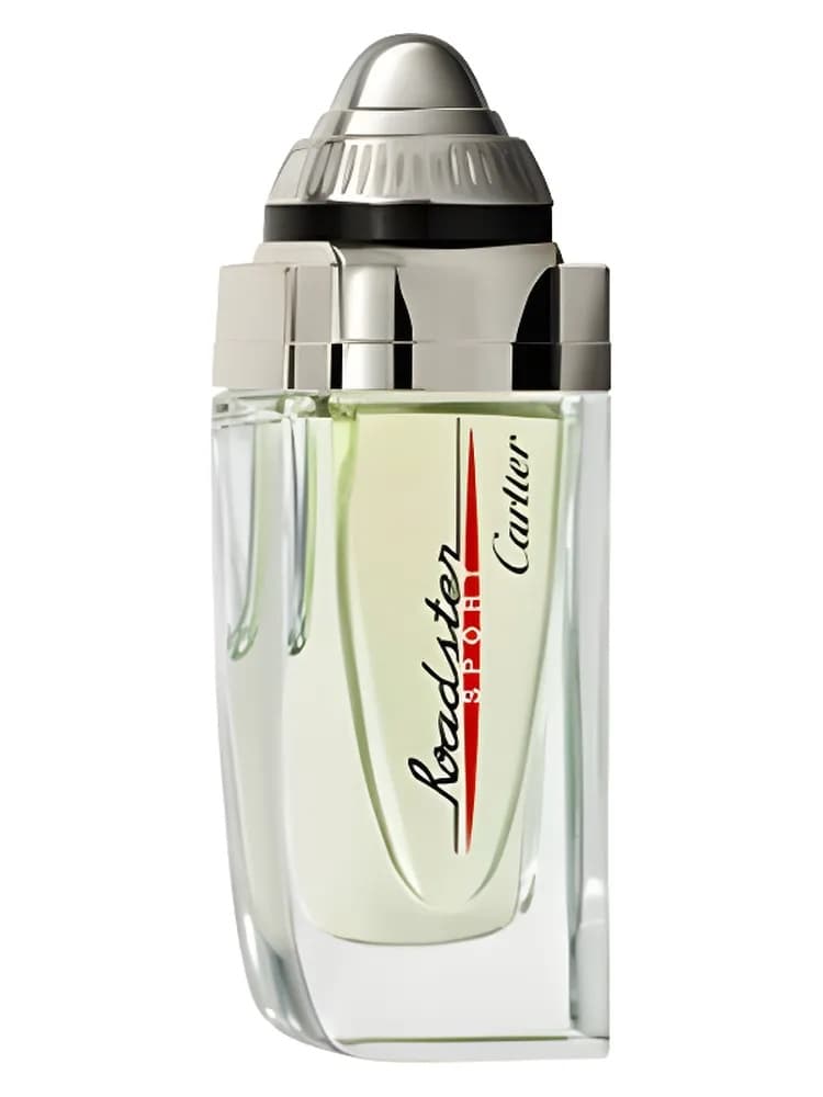 Roadster Sport for men