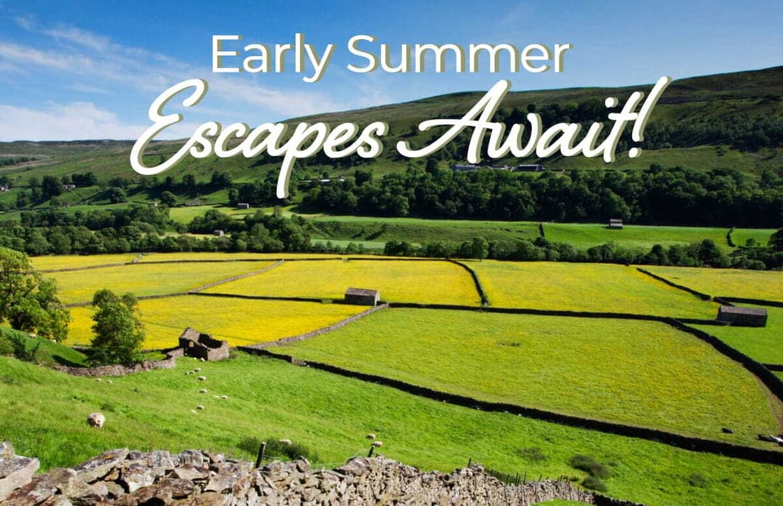 Vibrant yellow fields stretch across lush green hills under a clear blue sky, embodying Yorkshire's scenic beauty.