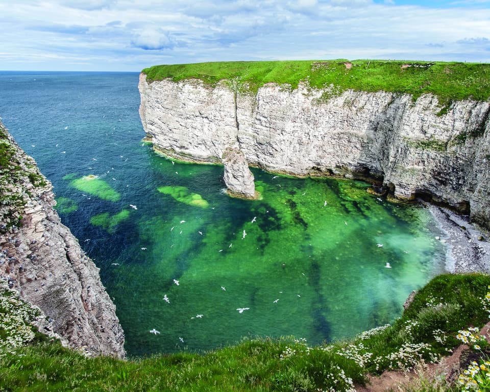 Discovering Yorkshire’s Seabird City