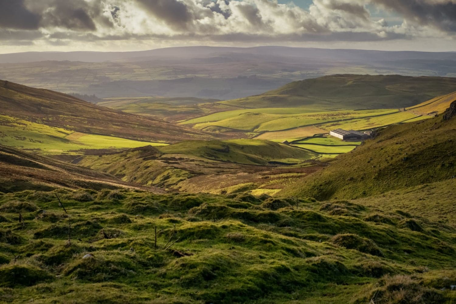 Walk: Settle Loop
