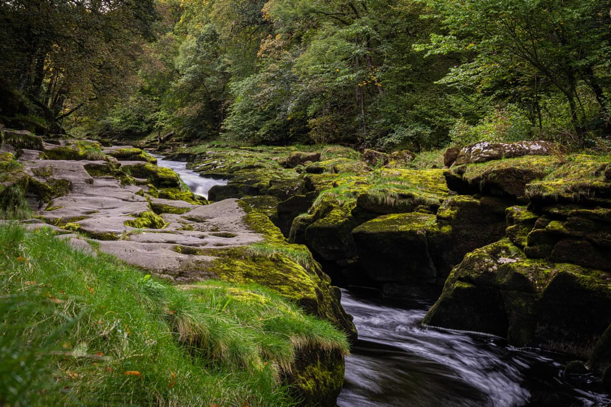 Walk: Bolton Abbey