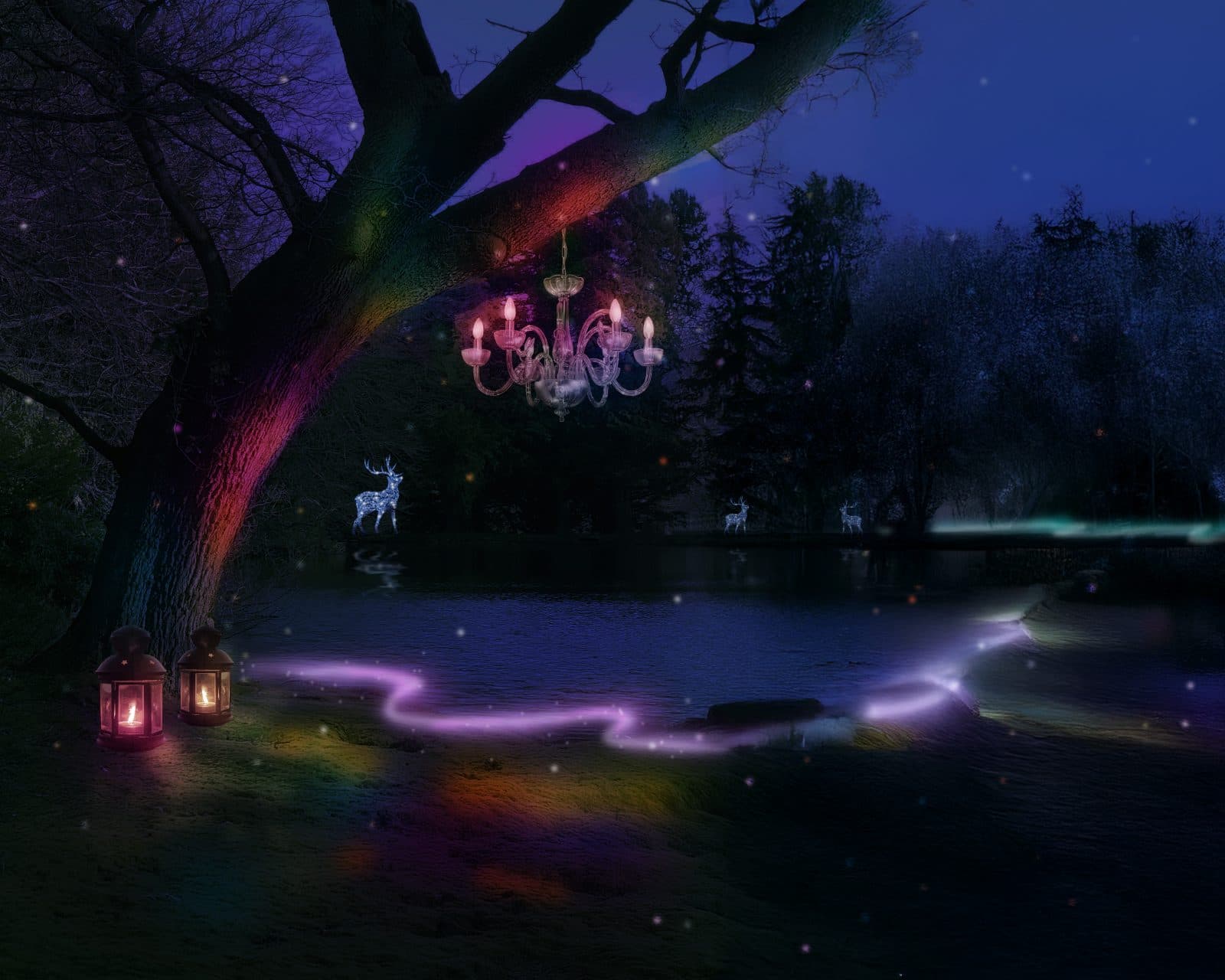 What Is The Luminescence Winter Light Trail At Swinton Estate Yorkshire?