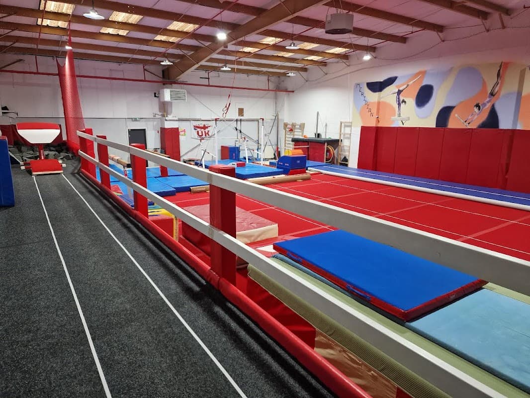 Meridian Gymnastics ltd - Gyms in beverley